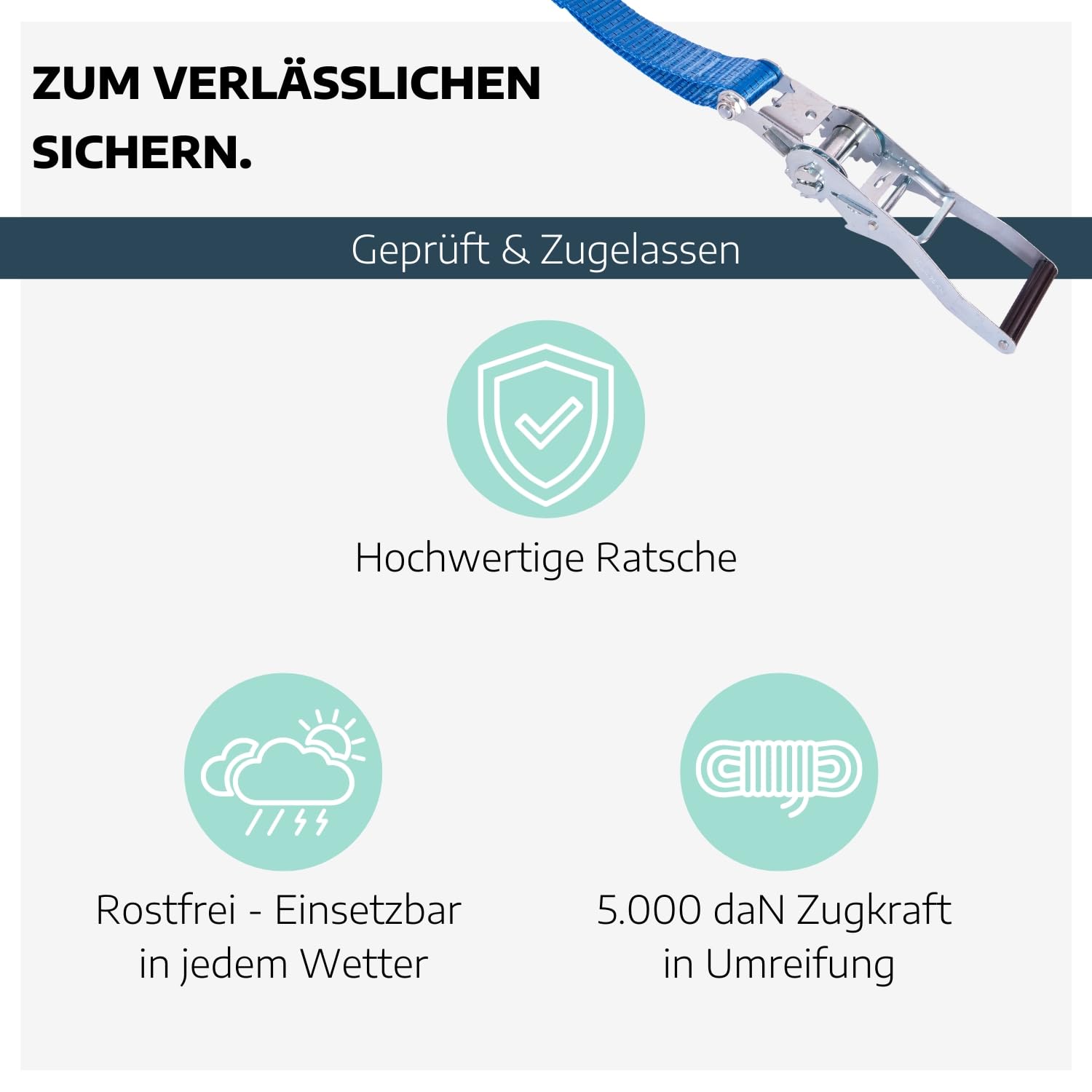 10 x Zurrgurt 2-teilig mit Ratsche 10 m & 2-Strang Spitzhaken I Spanngurte mit Ratsche I Gurte zum Befestigen I Spanngurt mit Sicherheitsetikett I Zurrgurte mit Spitzhaken