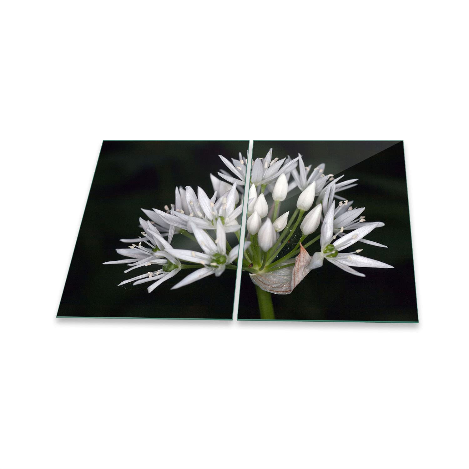 Placa para Cubrir la vitrocerámica, 2 Piezas, 2 x 40 x 52, diseño de Flores, Color Blanco, para inducción