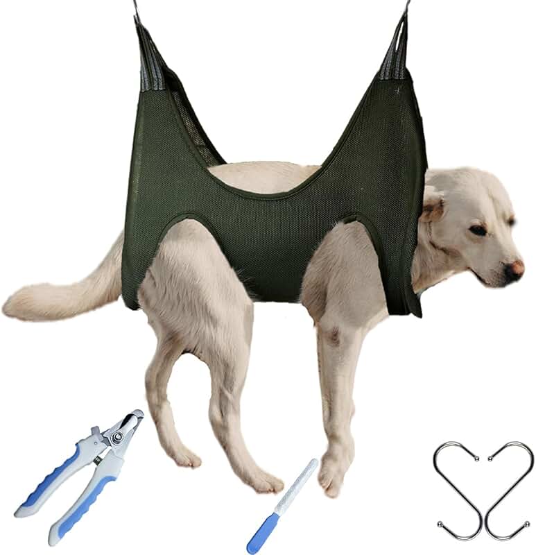 dog restraints for grooming
