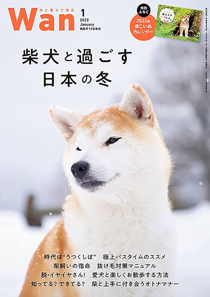 ★柴犬★福雀 SANTORY×笑点☆未使用•未開封品☆ あまくて まんまるのーっ とれたて いちごですよーっ♪ (うめ