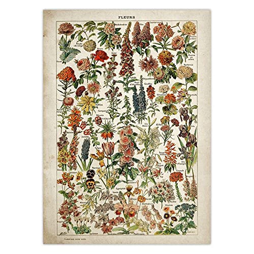 Poster vintage fleurs et champignons pour salon chic et rétro
