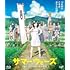 サマーウォーズ(期間限定スペシャルプライス版 / Blu-ray)