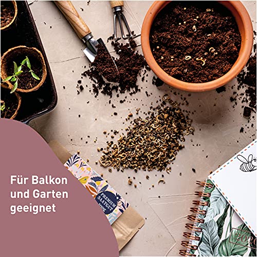 Schmetterlingswiese I 100 g I Blumenmischung für 100 m² I Blumenwiese Samen mehrjährig und einjährig I Wildblumensamen… – Bild 7