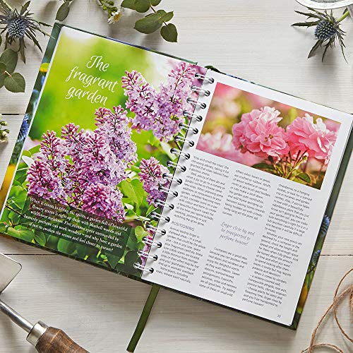 Dairy Diary 2020: a British icon used by millions