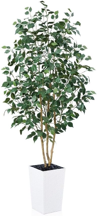 6ft Artificial Ficus Tree-Tall Faux Tree with Pebbles & Planter UV Resistant Potted Fake Plant with Silk Leaves & Real Wood Trunk-Indoor Outdoor Floor Plant for Home,Living Room,VN129