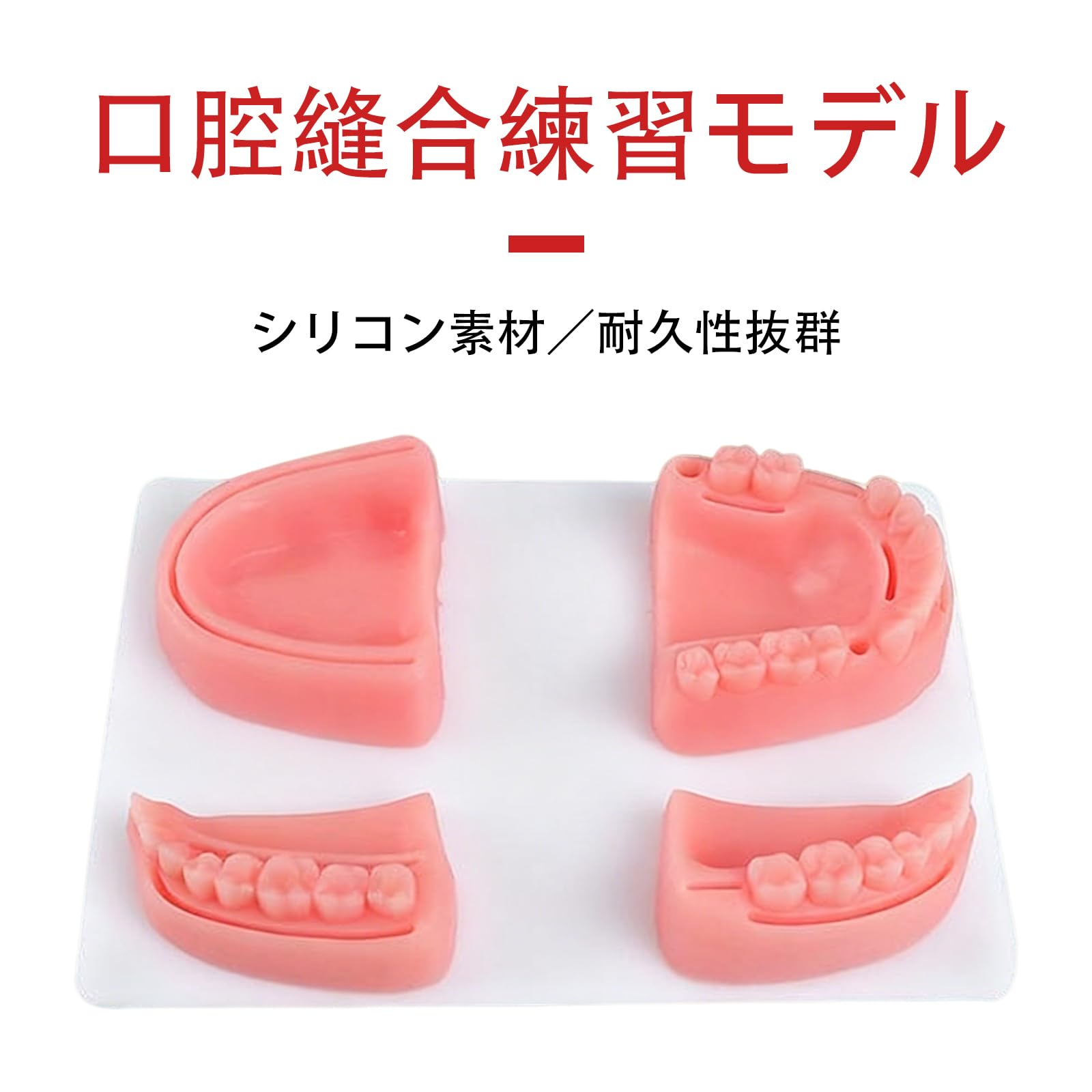 歯科衛生士 実習用 口腔模型セット シリコンマスク付き Amazon.co.jp: 歯科縫合トレーニングモデル シリコン製 口腔内実習用 1