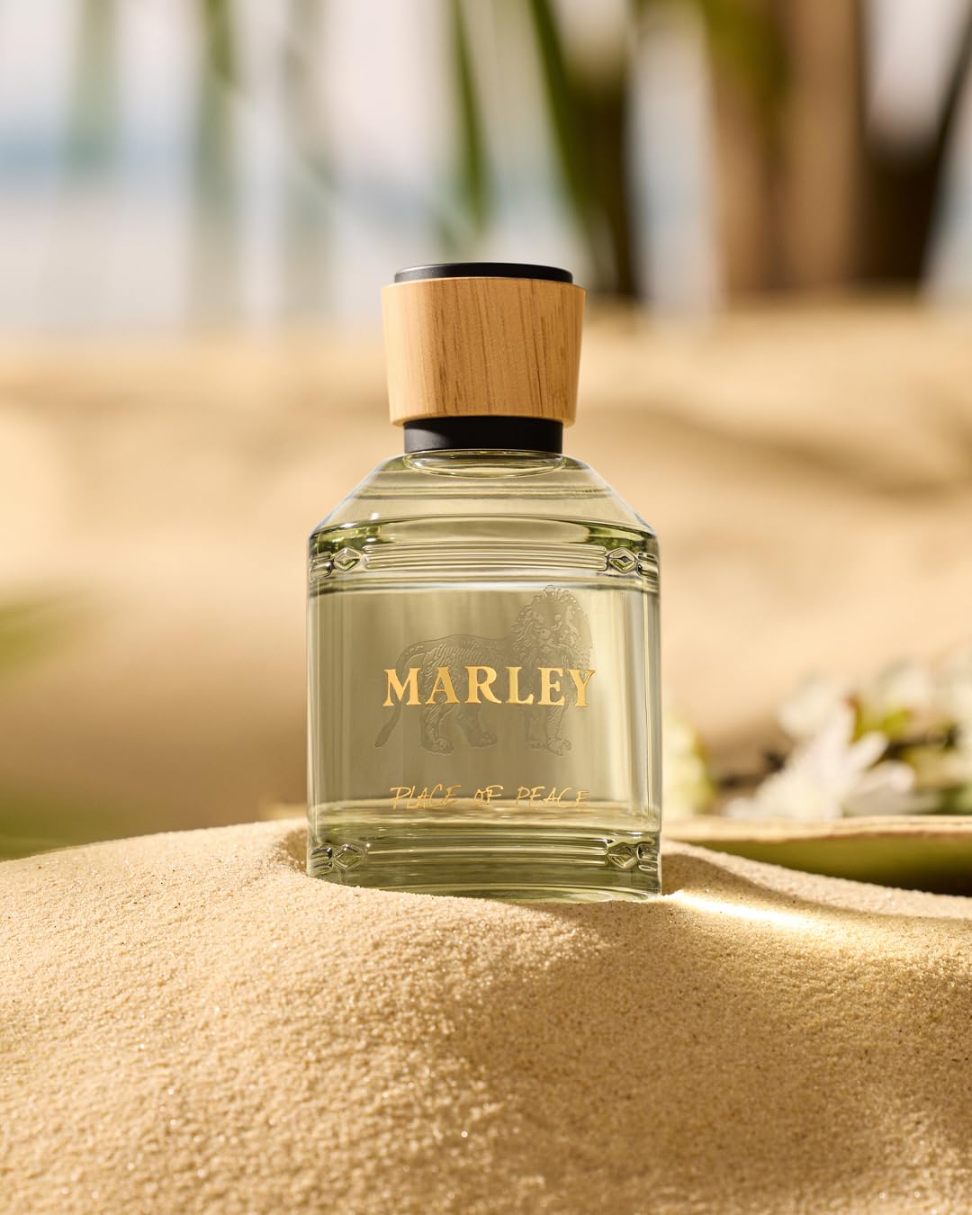 Amazon.com: Michael Malul / Marley Place of Peace -100ml | 3.4oz