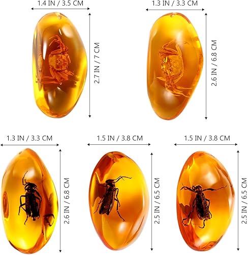 Miniatura 2 de VORCOOL 5pcs ámbar fósil con insectos muestras piedras muestras de cristal decoración del hogar colección oval colgante (patrón aleatorio)