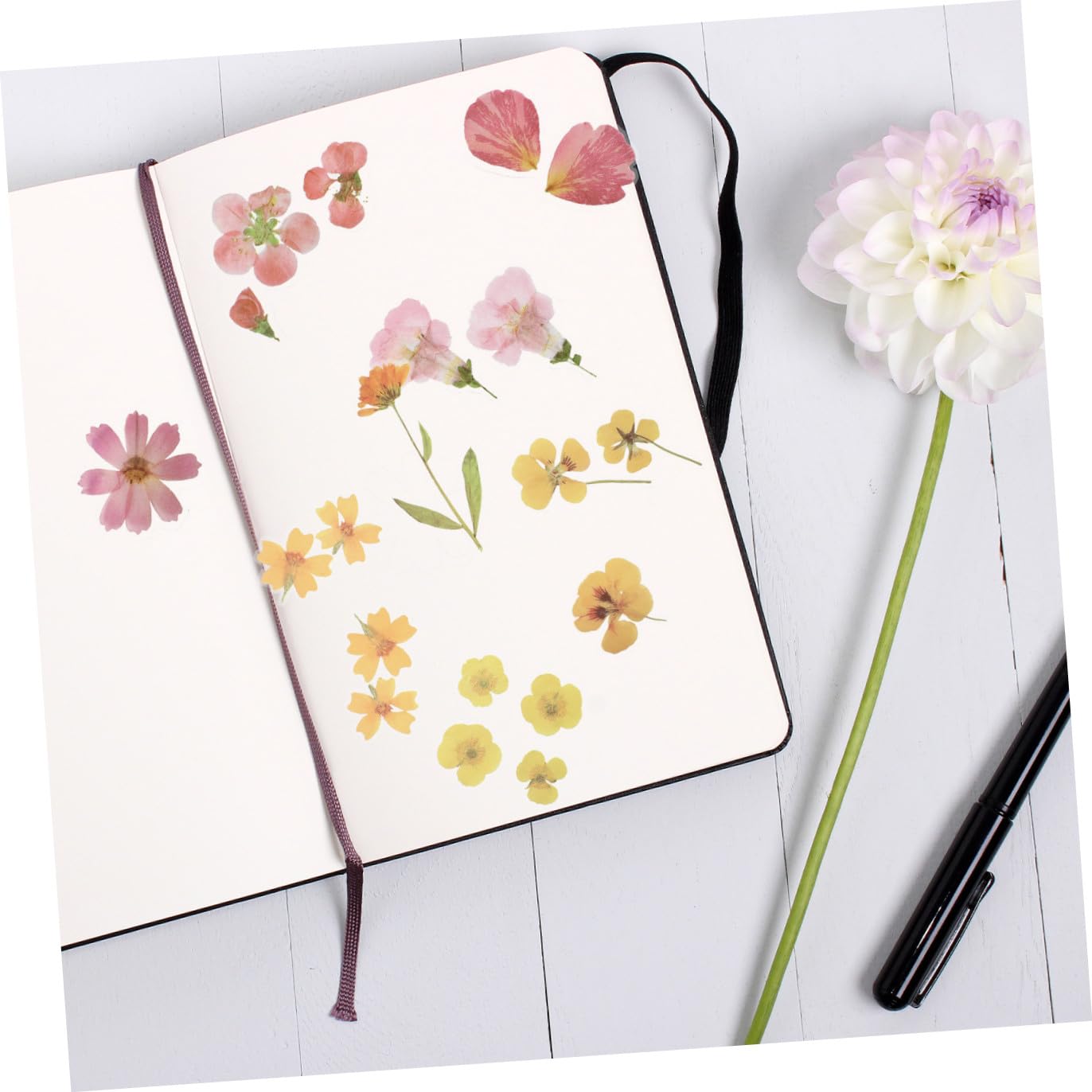 Operitacx 12sets Adesivi Floreali Per Laptop Stickers Pet Per Diario e Scrapbooking Design Fresco Di Piante Decorazione Per Album e Note Vivid Flower Patterns
