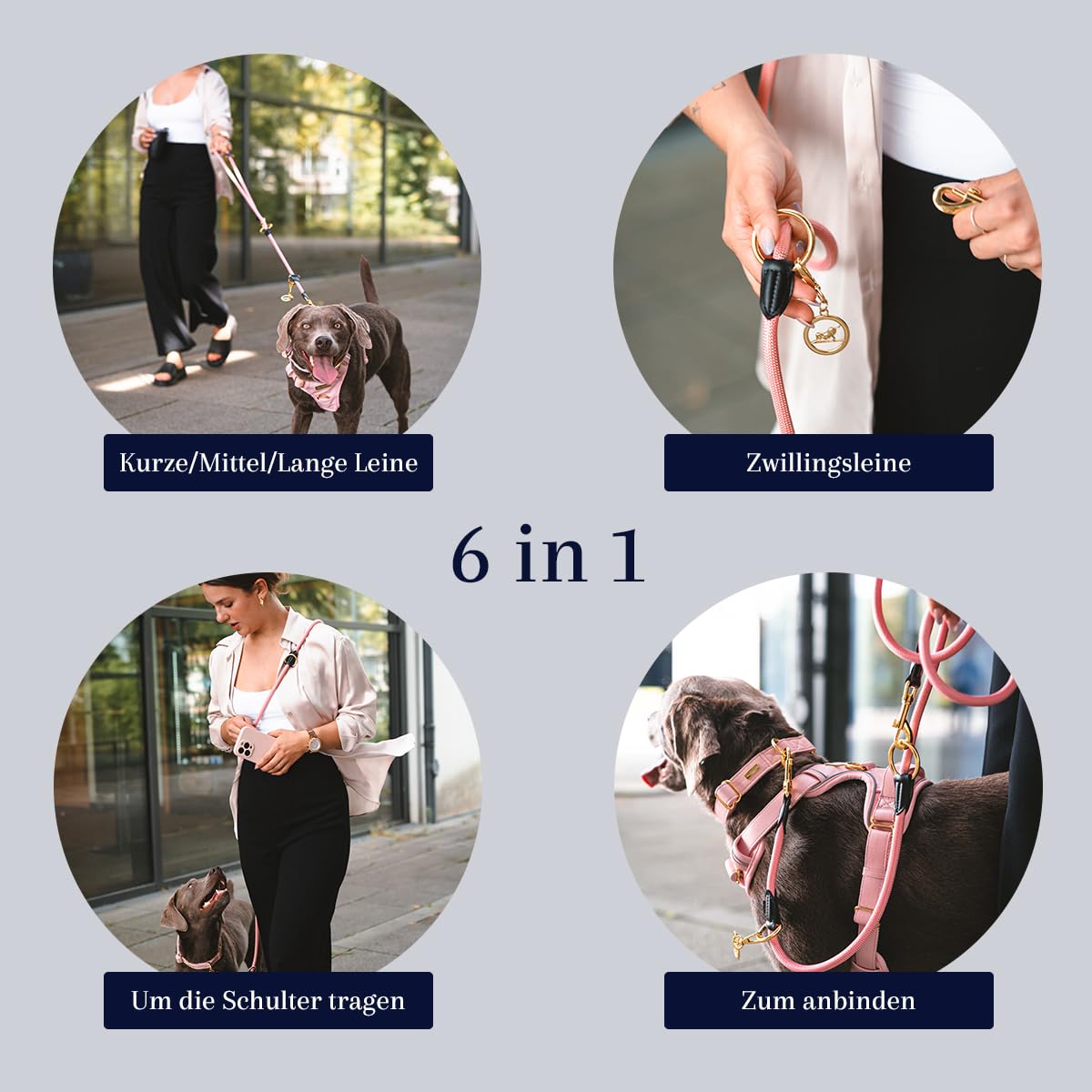 Midnight Hundehalsband & Leine Set | Veganes Leder Schwarz/Gold | Verstellbar | Kleine & mittelgroße Hunde (S/M 29–41 cm)