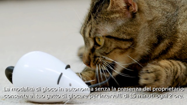 Giocattolo Automatico Per Gatti PetSafe La Tana Della Volpe | Coda Che Si Muove, Sensore Di Movimento, Divertimento Interattivo