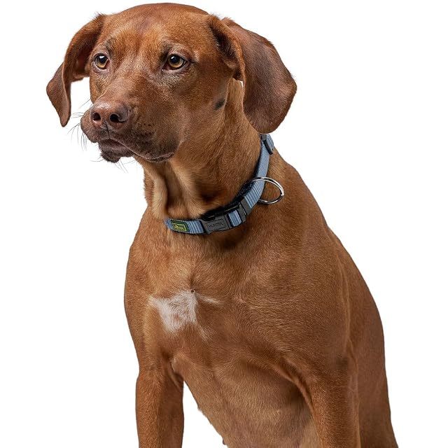Foto 5 de 8 de HUNTER Collar para Perro Vario Plus, Alivio de tensión, Resistente, Flexible, Cierre de Clic, L-XL/2,5, marrón