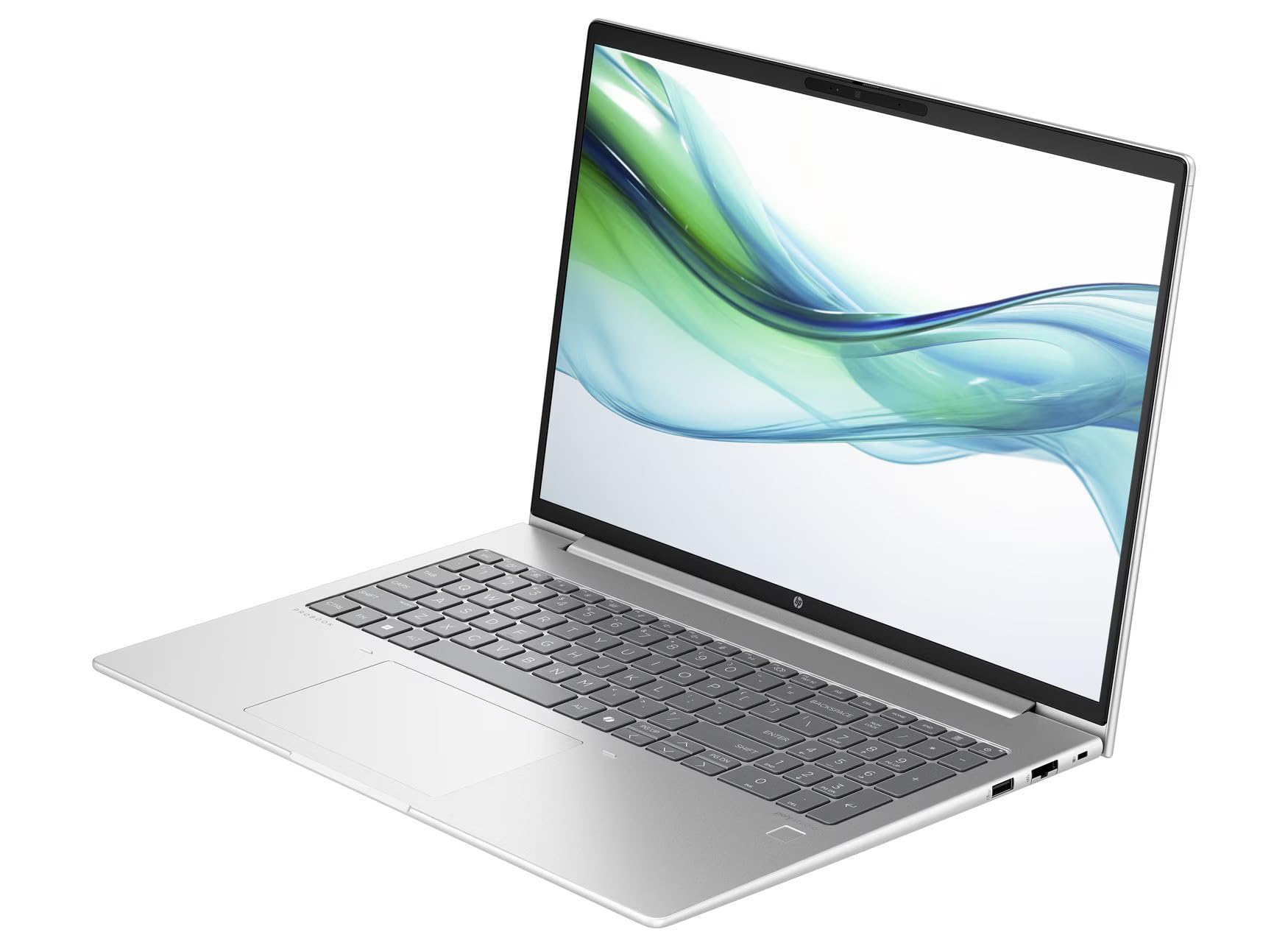 Amazon.com: HP ProBook 460 G11 16