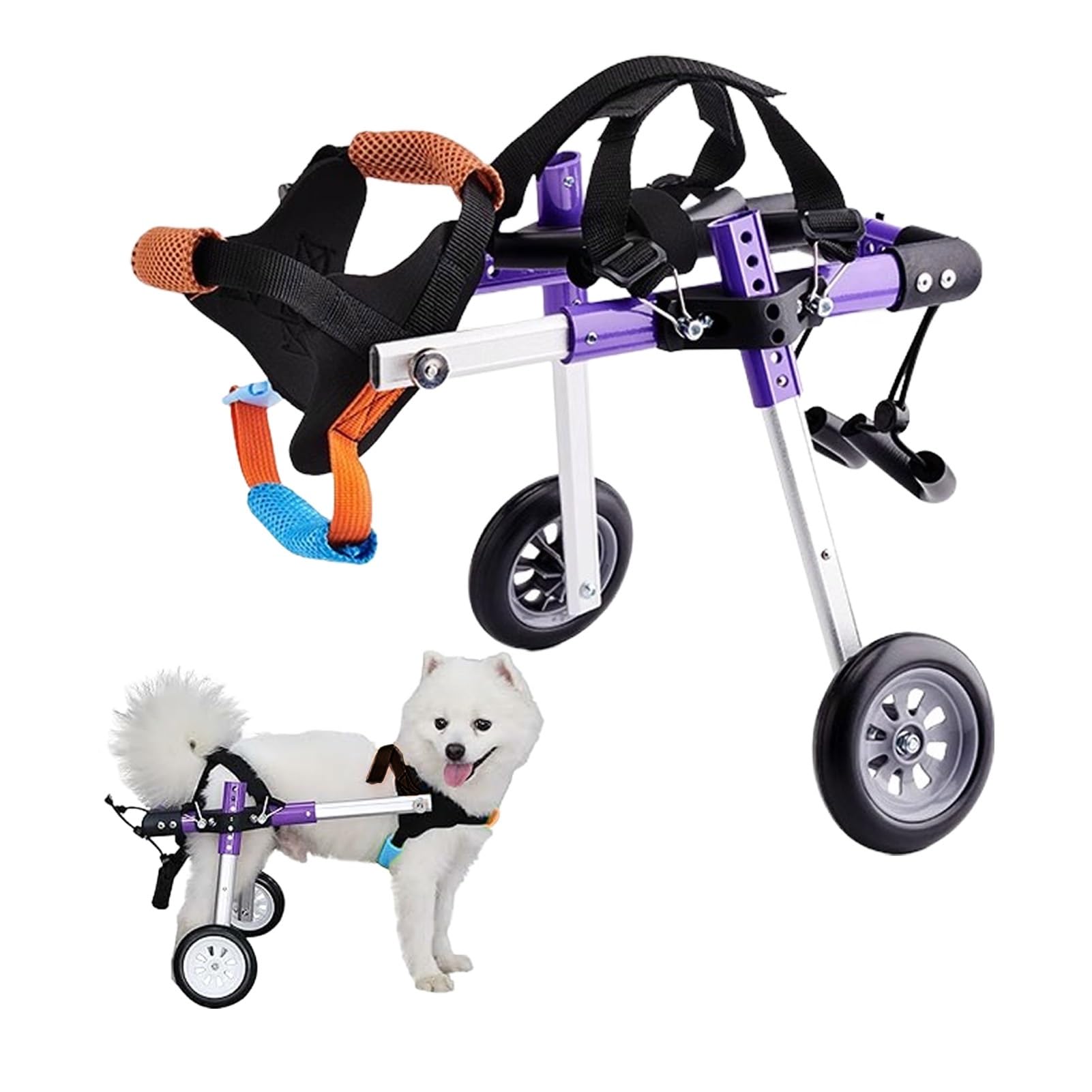Fauteuil roulant pour petits chiens souffrant d'arthrite et paralysie