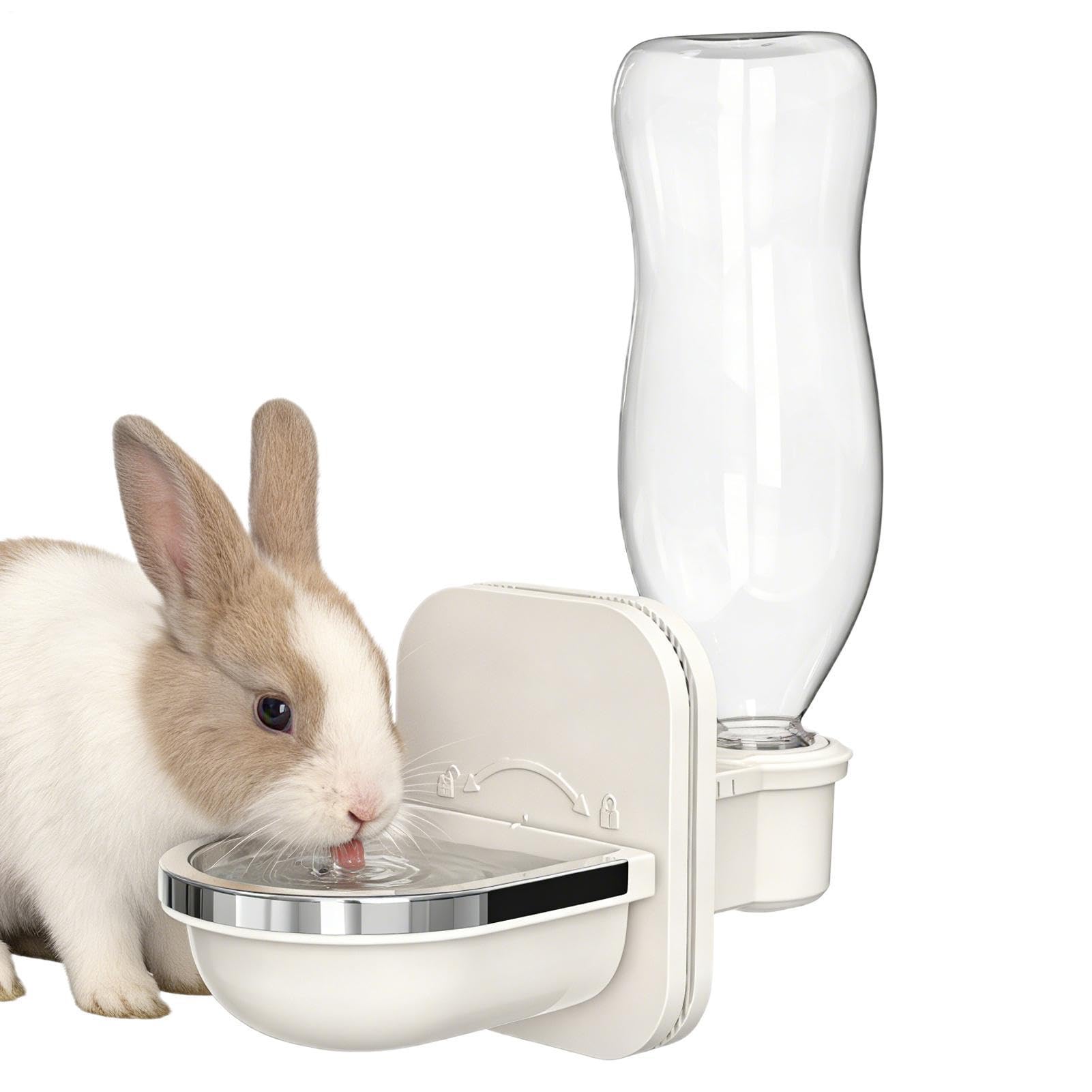 Distributeur d'eau pour chiens et chiots en voyage : l'hydratation sereine