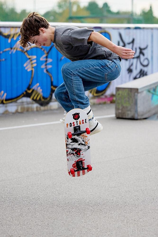 Schildkröt Skateboard Grinder 31´´, Premium Komplett-Board, konkave Deckform mit Doppel-Kick und Griptape, 9-lagiges Ahornholz, ABEC9 Kugellager