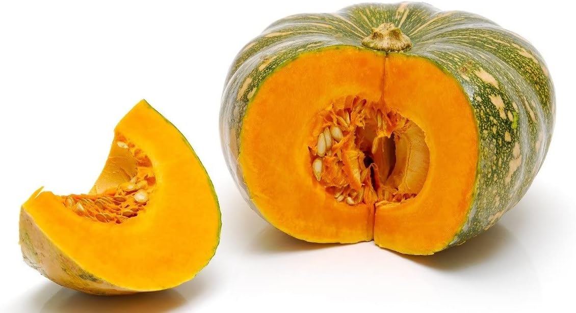 Fresh Pumpkin, Pack Of 1