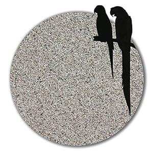 Anbobo Vogelsand Grau Hellgrau 12kg