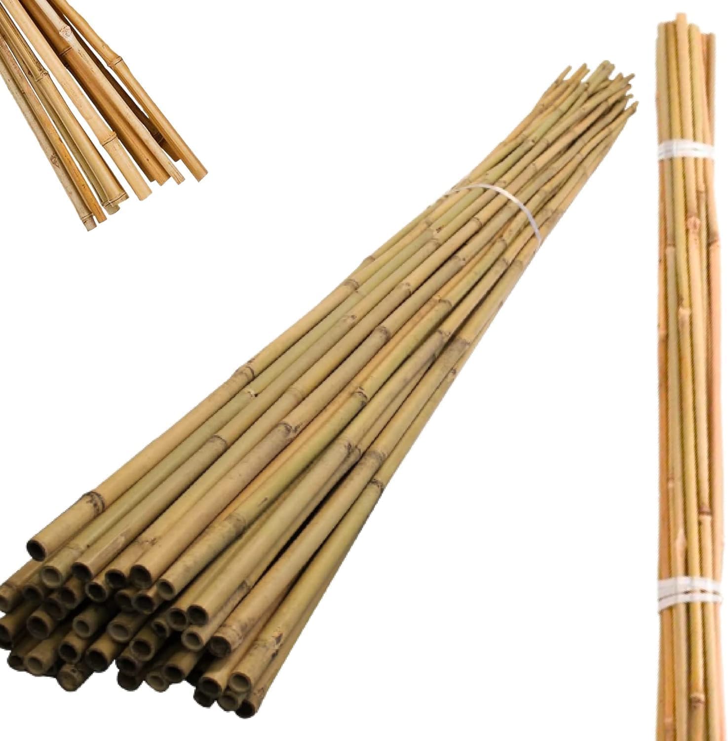 Bamboo Plant Support Garden Canes - Gardens Strong Heavy Duty Professional | 2, 3, 4FT | Choose Your Pack Size from 10 to 100 (2ft, 50)