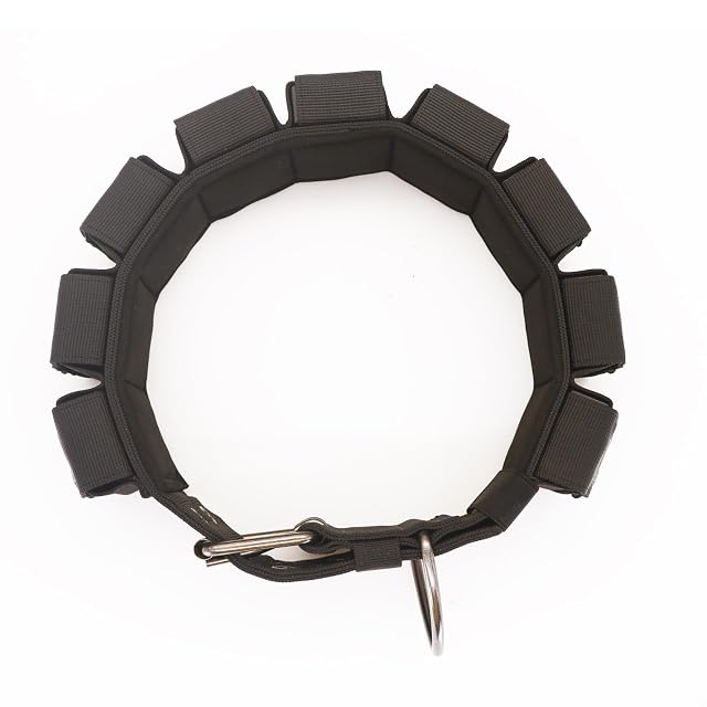 Foto 5 de 8 de Walktime Collar táctico con peso para perro, pesas para entrenamiento y ejercicio, perros pequeños