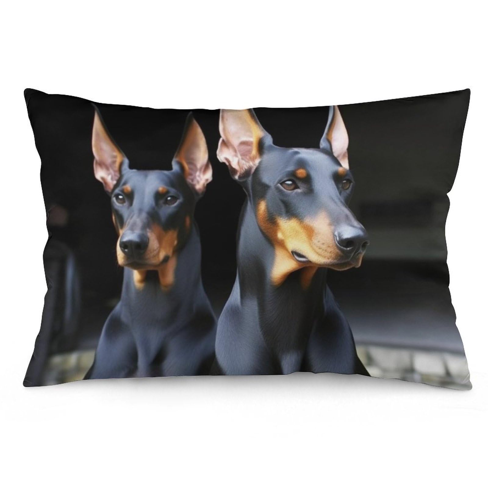 NONHAI 2 Pack Pillow Cases for Hair and Skin, Soft Breathable Pillow Case Covers with Hidden Zipper, Doberman Pillowcase 16 "x24 Pillow Covers for Sleeping Gift