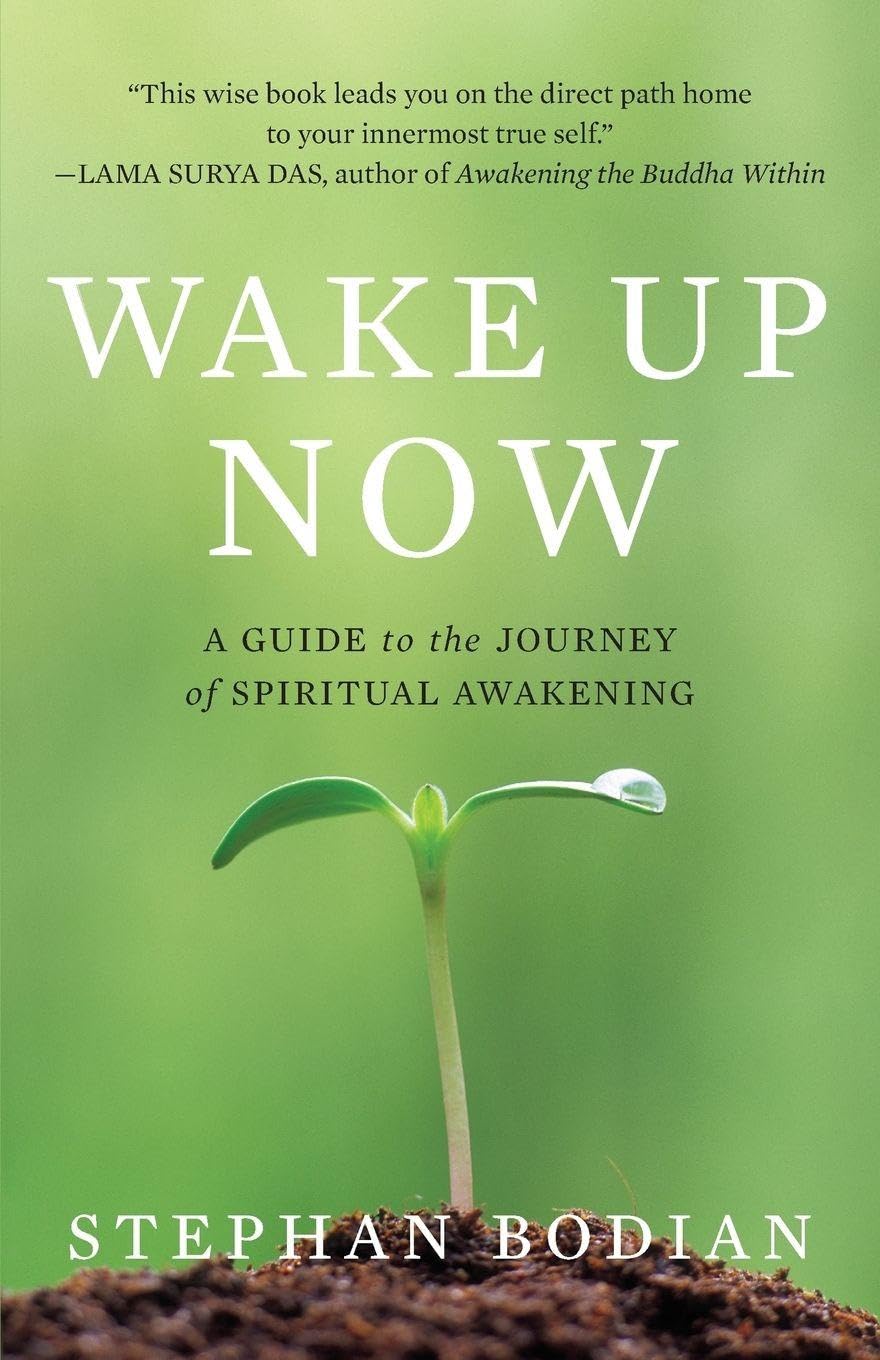 Wake Up Now: A Guide to the Journey of Spiritual Awakening (NTC SELF-HELP)