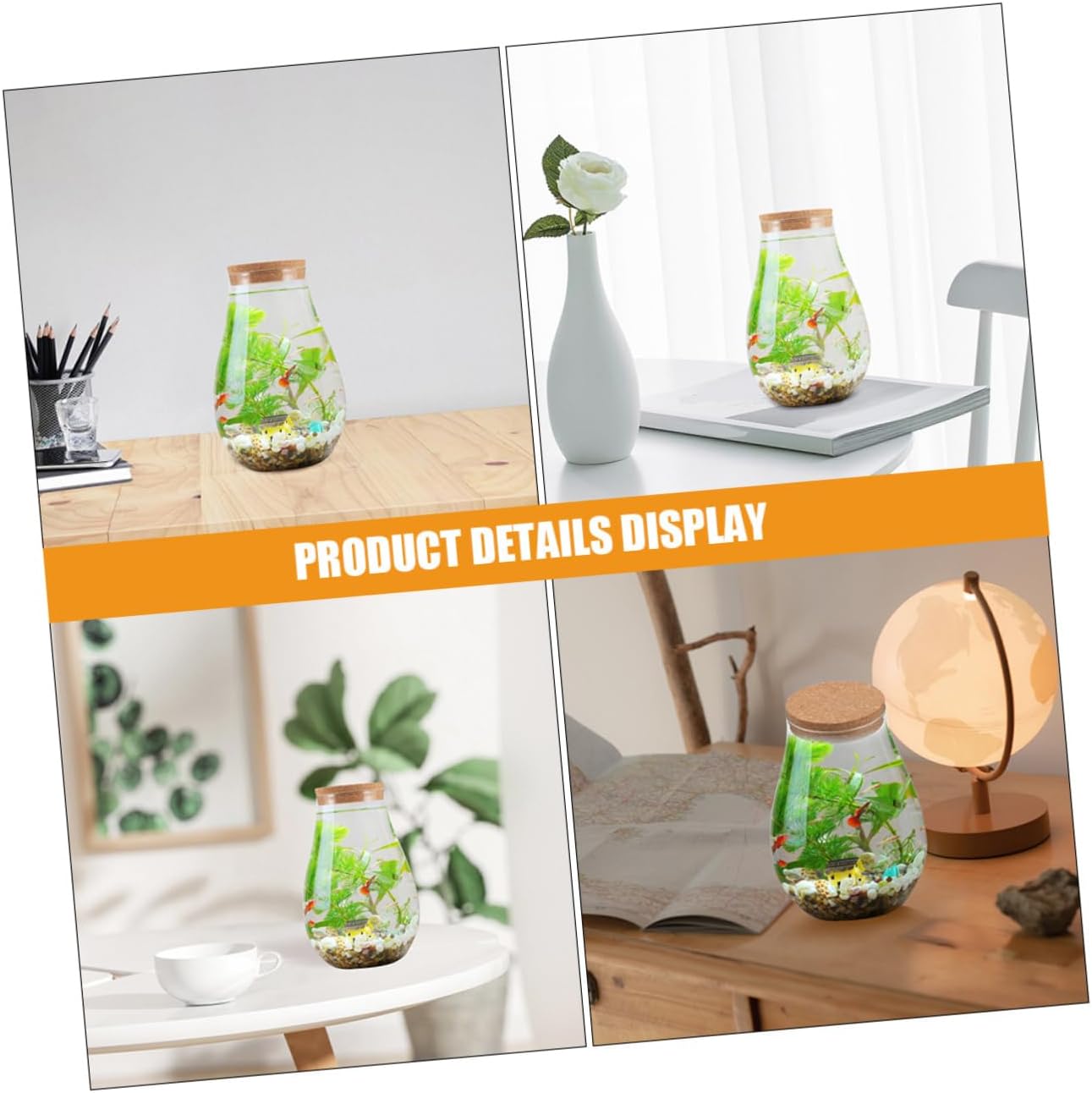 BESPORTBLE 2pcs Hydroponic Vase Glass Plant Wall Decor Eco Bottle Wood Material Live Plants Container