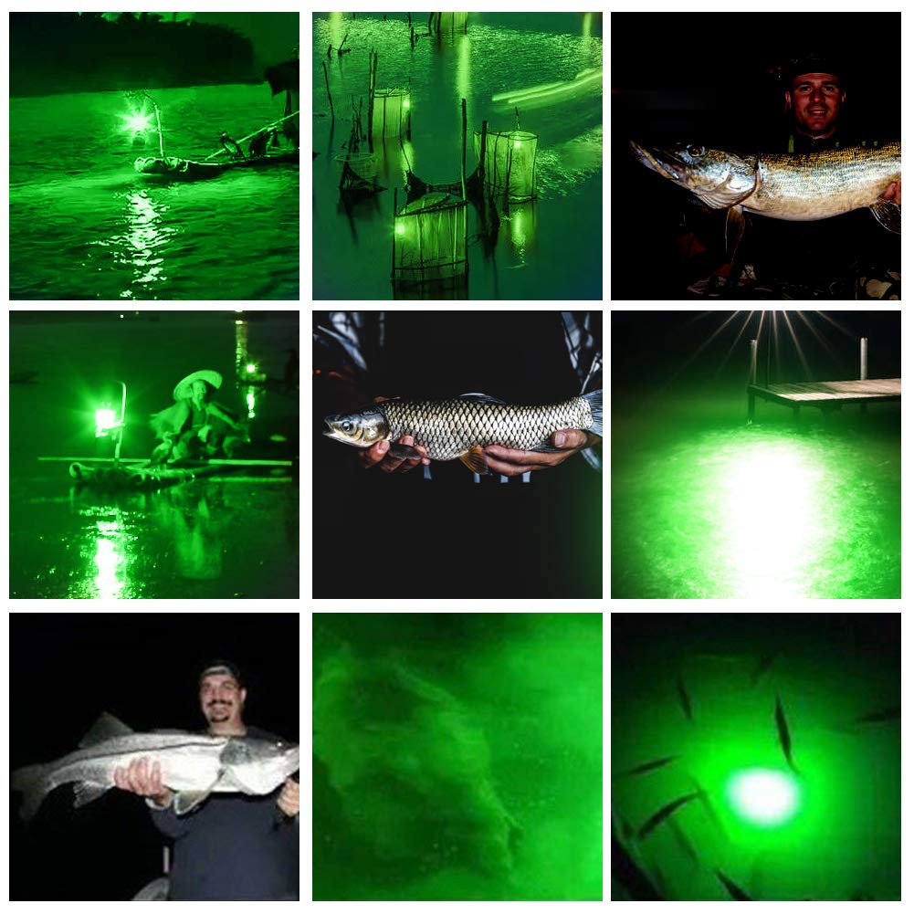 Luce di Pesca Subacquea, IP68 LED Cattura Pesci notturni, Luce di Pesca della zattera, 12V-24V 13W, con 5M Cavo e Clip di Coccodrillo, Colore Verde/Blu/Bianco Opzionale