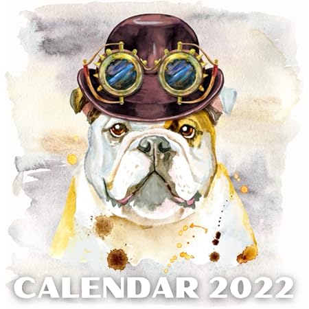 Steampunk Calendar 2022 Wall Calendar 2022 [12 Pages 20X30Cm] Steampunk Vintage Heavy Machines War  Scifi : Amazon.co.uk: Stationery & Office Supplies