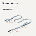 Amazon Basics Double-Sided Reflective Dog Leash with Dual Padded Handles and D-Ring, 120 cm, Black/Blue
