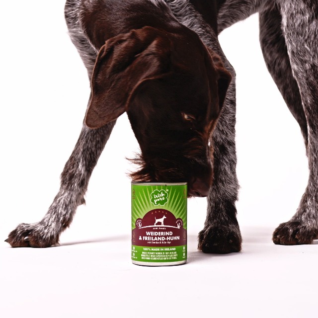hundebett paletten Tora Hundebett