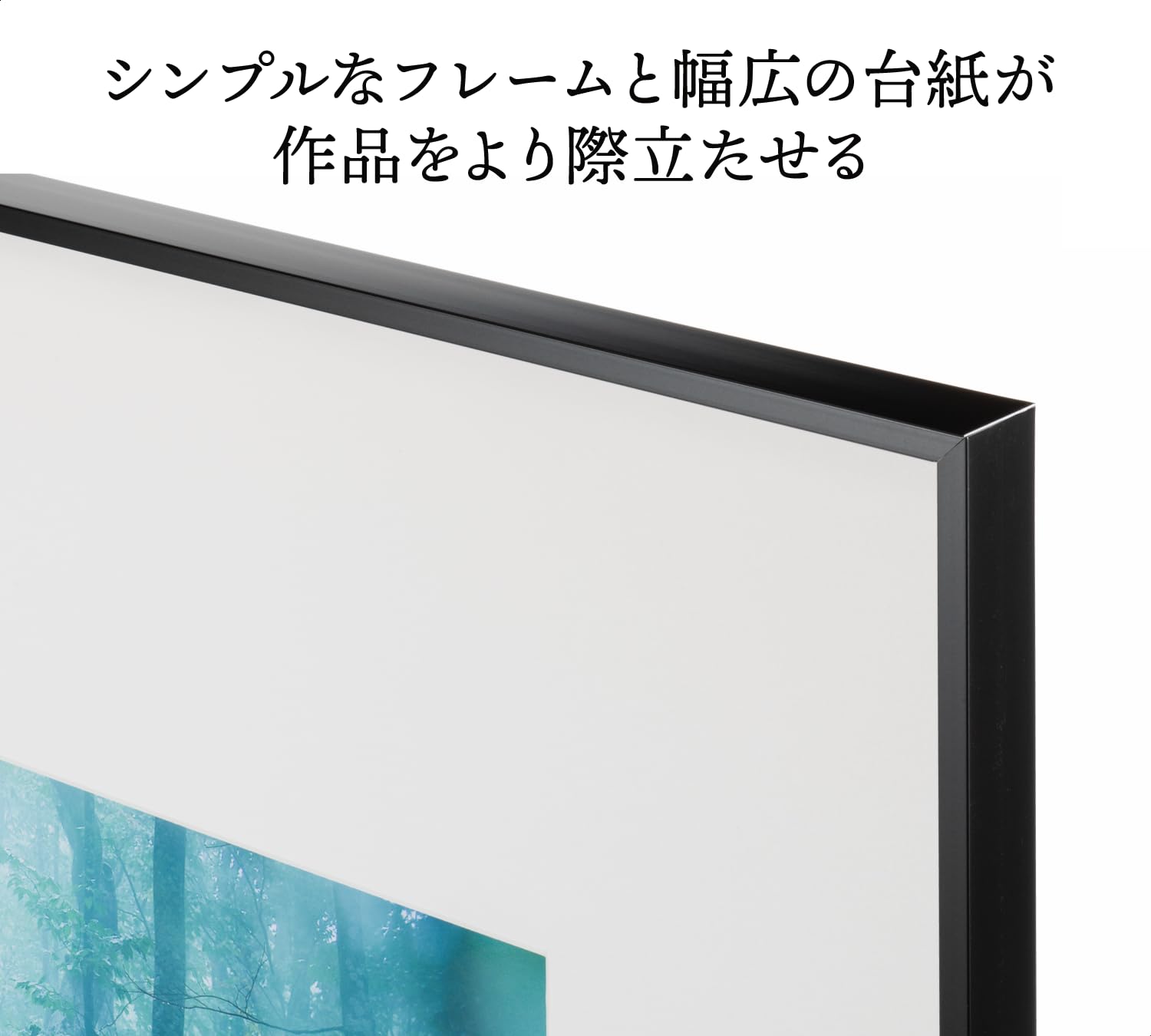Amazon | 【Amazon.co.jp 限定】 ケンコー(Kenko) 額縁 ギャラリー 2L