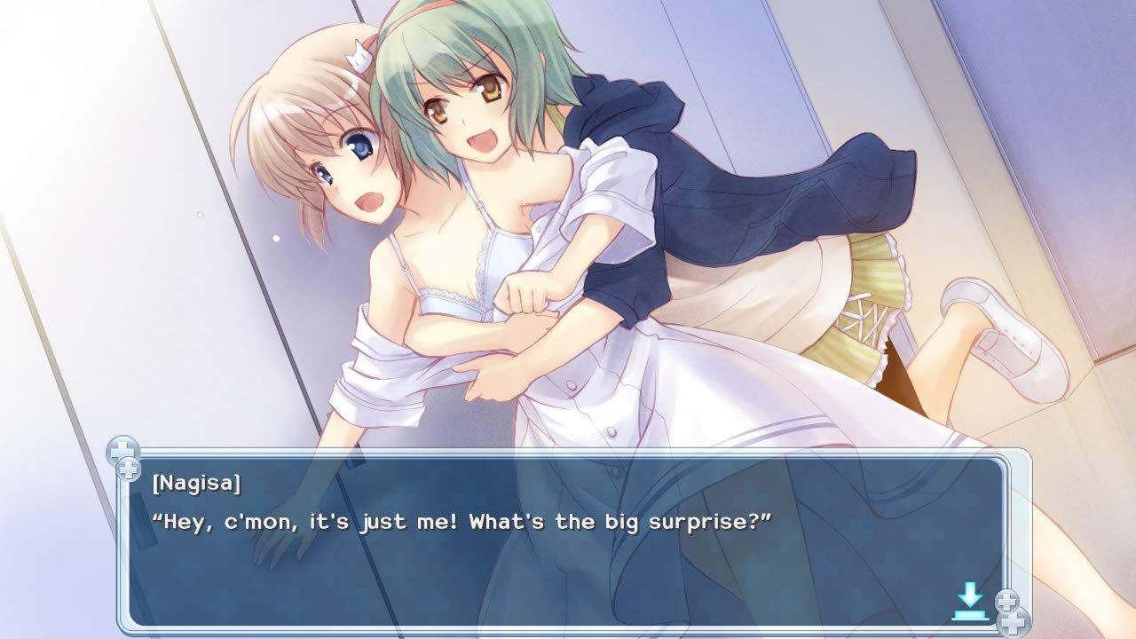 Nurse Love Obsession (Switch)