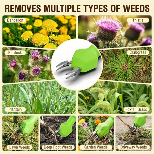 Ausic Electric Weed Puller Tool, No Bending Weed Remove Tool, Stand Up Weed Puller Tool with Long Handle, One Charge Pulls 3000+ Weeds Wacker, Garden Weed Picker Tool for Lawn, Yard and Farm