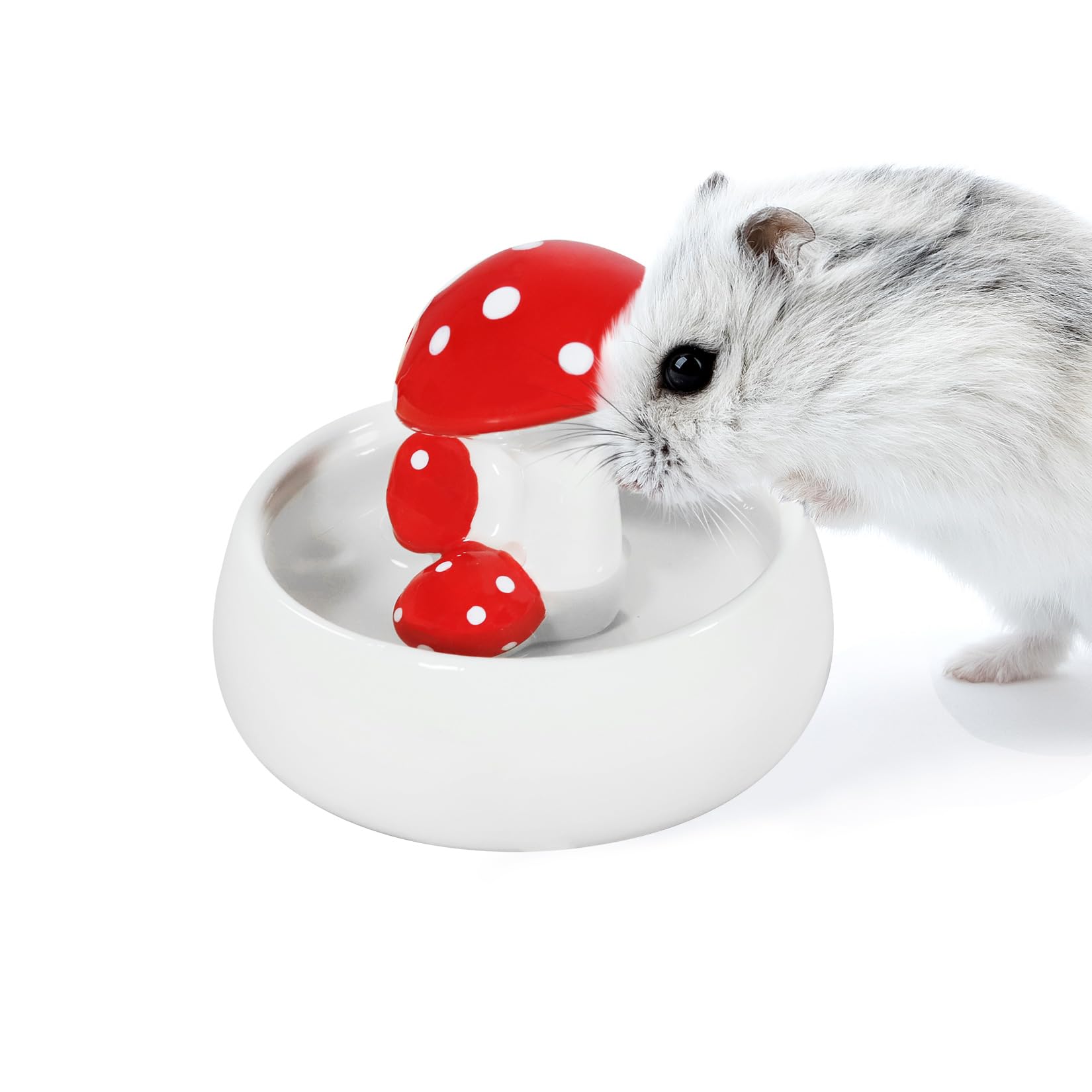 Gamelle pour hamster en céramique Niteangel design champignon pour rongeurs