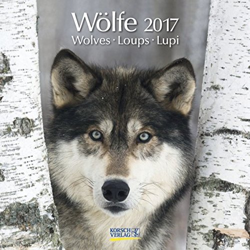 Wölfe 2017: Broschürenkalender mit Ferienterminen Wölfe 2017: Broschürenkalender mit Ferienterminen