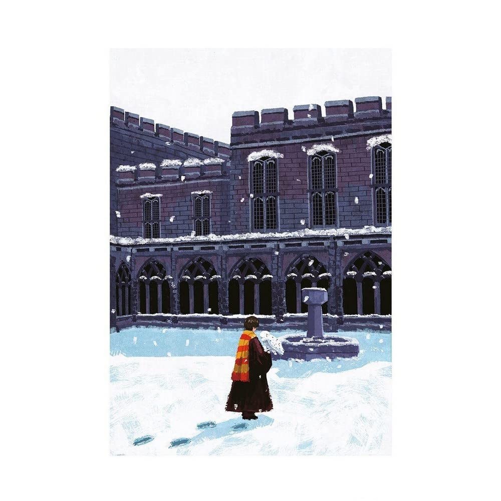 Harry Potter Men's Multicoloured The Snowy Courtyard Print (30Cm X 40Cm) (Multicoloured) 40L X 30W Cm