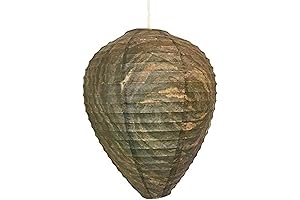 3-Pack Wasp Nest Deterrent