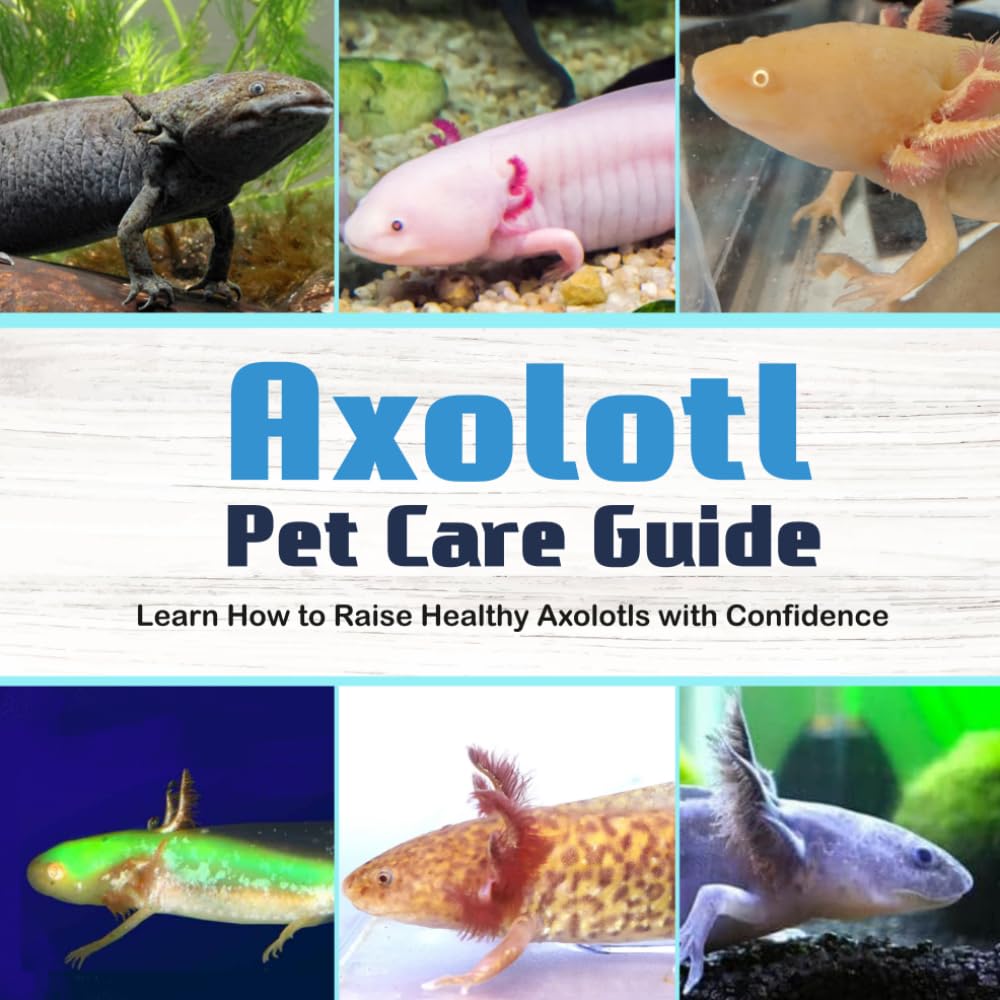 Axolotl Pet Care Guide: Learn How to Raise Healthy Axolotls with Confidence