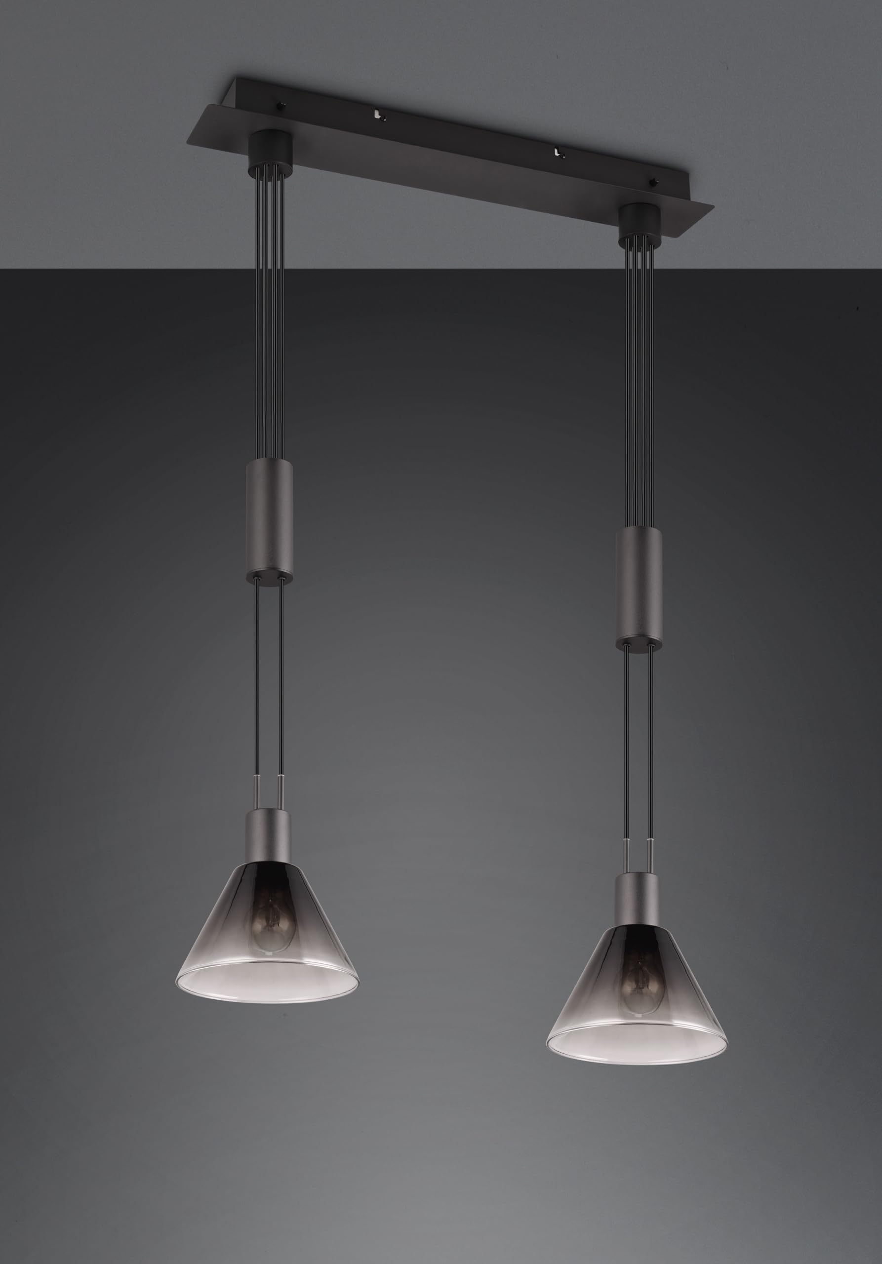 Trio Leuchten Pendelleuchte Stanley 319500232, Metall Schwarz matt, Glas rauchfarbig, exkl. 2x E27