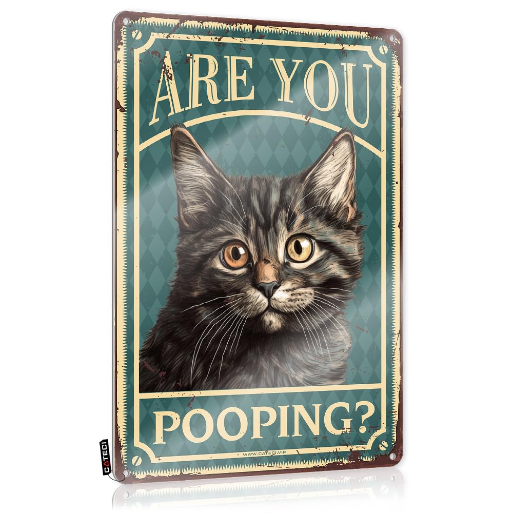 MWFKKADDB Bar Posters Are You Pooping Tin Sign Spiritual Wall Artposters For Room Aesthetic 90Saesthetic Bathroom Decorbest Grandma Gifts Funny Vintage Signs Coffee Tin Sign(20X30CM)