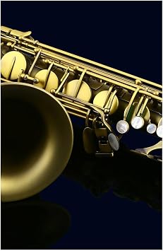 Tenor Saxophone B flat professional instrument