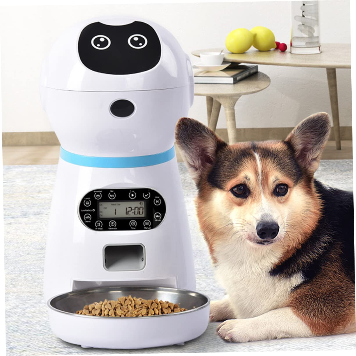 DOITOOL Alimentador Automático para Mascotas con Temporizador Digital Robot Inteligente con Grabación De Voz para Gatos y Perros Dispensador De Comida Seguro con Cuenco De Inoxidable