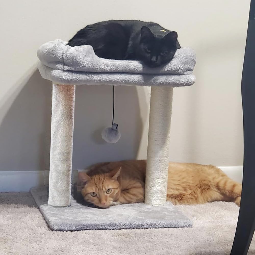 Amazon | キャットツリー ミニ 猫タワー 低め 小型 スリム 据え置き 猫