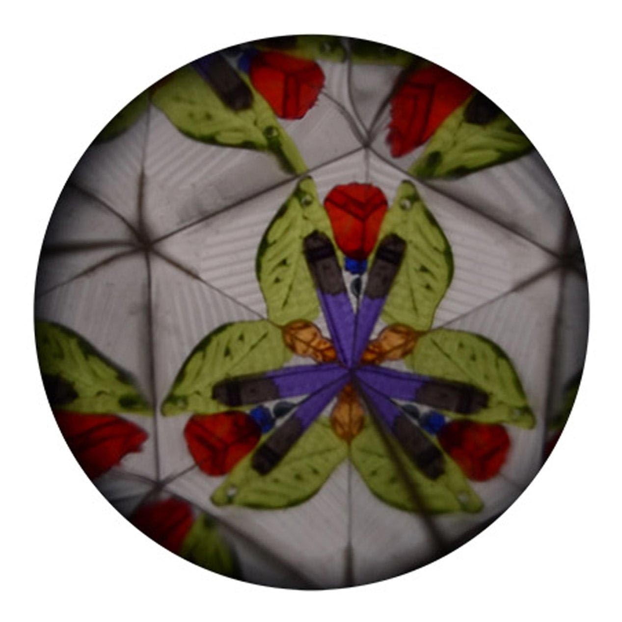 JOHNTOY KALEIDOSCOPE ANIMALS NAVY