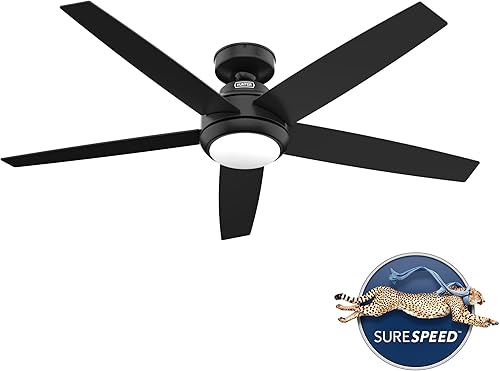 Miniatura 2 de Hunter Fan Company 51694 Zayden - Ventilador de techo, 52, negro mate