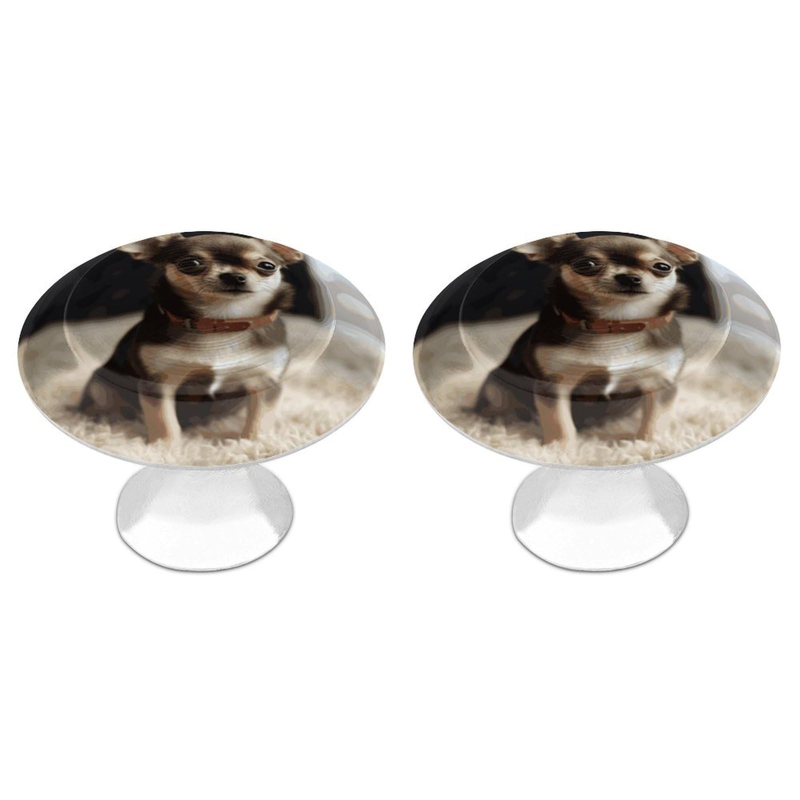 FekiLoot Cute Chihuahua Cabinet Knobs 2 Pack Stainless Steel Round Dresser Drawer Knobs Kitchen Drawer Hardware Dresser Knob Closet Door Pulls Cabinet Handles for Cupboard Drawer Pulls