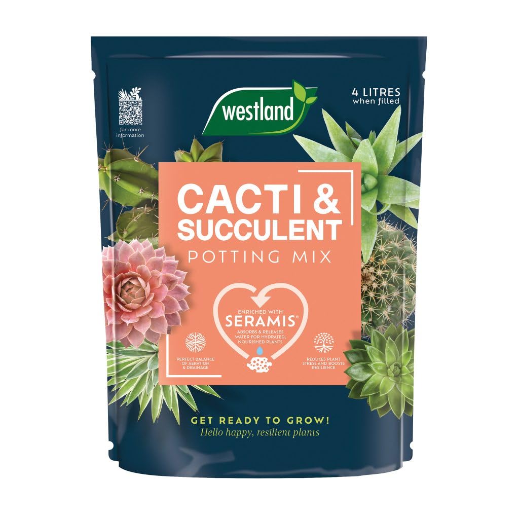 Westland Cacti & Succulent Potting Mix 4L Peat Free Gritty Compost Seramis Granules Sand Zinc Complex Succulents Aloe Vera Jade Plant Agave Indoor