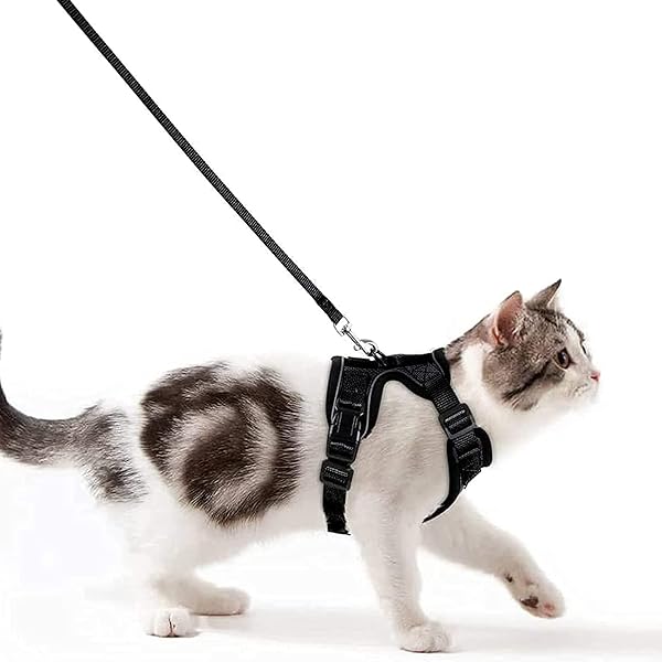 Wdmiya Arnés para Gato Antiescape Reflectante