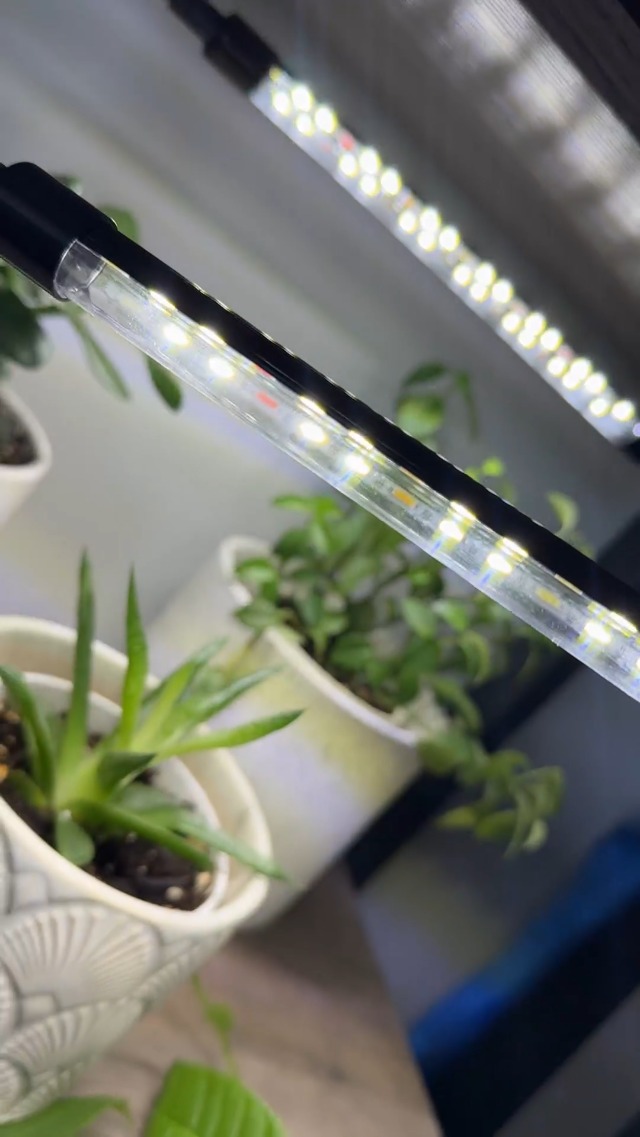 Amazon.com : Wolezek Grow Lights for Indoor Plants, 2 Pack 6000K